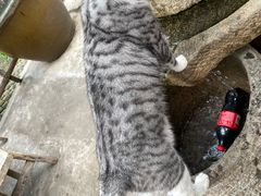 -百花人家(清水田园店)