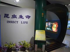 -上海昆虫博物馆