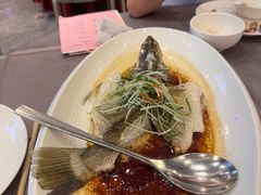 -东方御宴海鲜酒楼(棕泉酒店)