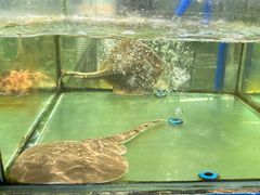-聚鲜阁海鲜美食城(香水湾店)