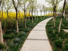 -天津东丽湖风景区