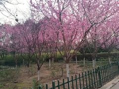 -西安市长乐公园