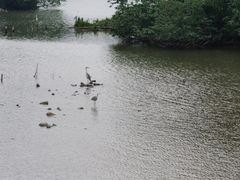 -海珠湖公园