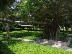 -大嶝英雄三岛战地观光园