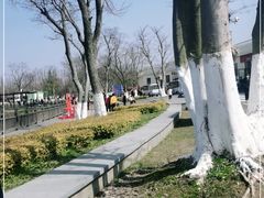 -上海长兴岛郊野公园