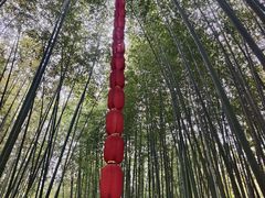 -竹泉村旅游度假区