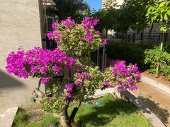 -广州锦绣香江度假别墅