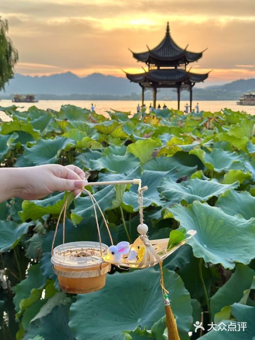 炖物24章·顺时轻养茶(杭州大厦店)图片