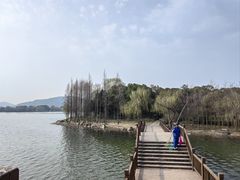 -渤公岛生态公园