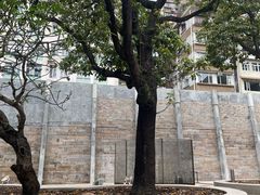 -大馆(前中区警署建築群)