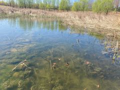 -马家湾湿地公园