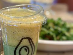 -油梨树AVOCADO TREE(嘉里中心店)