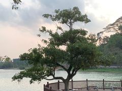 -广东温泉宾馆