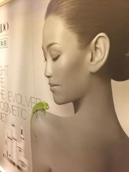 点击看大图 -YESIDO椰岛美容
