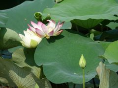 校园-华南师范大学(广州大学城校区)