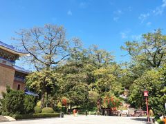 -广州中山纪念堂