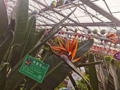 -南宫五洲植物乐园