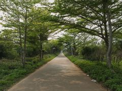 -石螺口海滩