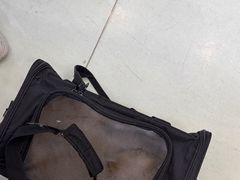 -瑞鹏宠物医院·宠保定点·心脏科·内科(御桥分院)