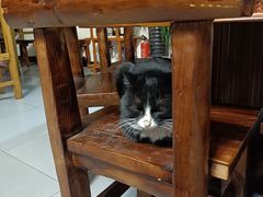 -新疆狼爷烤肉(宋庄店)