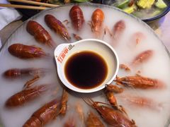 精品冰镇蓝龙虾-红盔甲·小龙虾(定西路店)