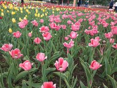 -长春公园(普阳街道)