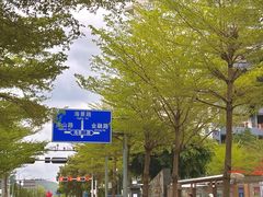 -山水肠粉(盐田店)