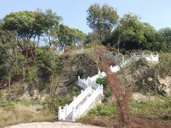 -上海市保健医疗中心(华东疗养院)