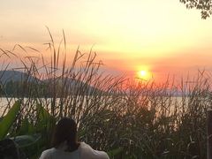 -东湖落雁景区