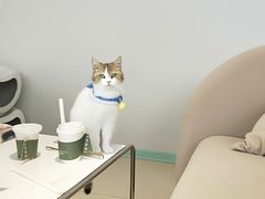 -怪兽屋·羊驼·猫咖·狗咖(俊华广场店)