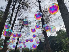 -人民公园(罗湖区)