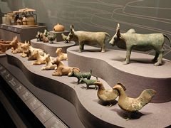 -广西壮族自治区博物馆