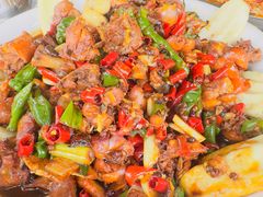 -向民炒鸡老店(火车站店)