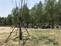 -东郊湿地公园
