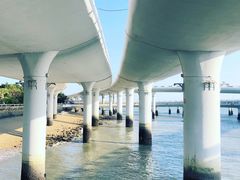 -演武大桥观景平台