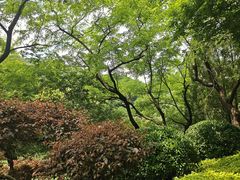 -大连植物园