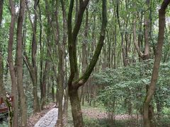 -同里国家湿地公园