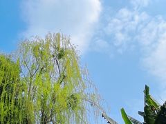 -成都市文化公园