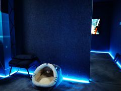 -零纪元VR体验馆·桌游(黄浦店)