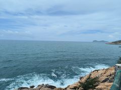 -广东惠东海龟国家级自然保护区