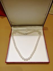 -RUANS阮仕珍珠(北京蓝色港湾店)