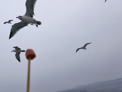 -长岛南北长山旅游景区