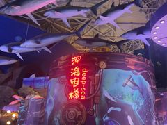 -烟台海昌鲸鲨海洋公园