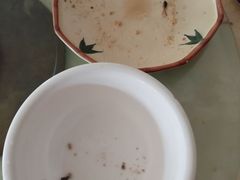 -区海鸡场饭店(石壁店)