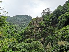 -佛山市三水区大南山森林公园