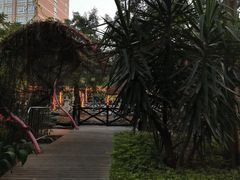 -灵玲国际马戏城