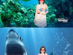 -瑞普利水族馆