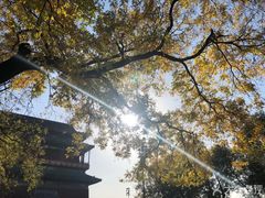 -祥升行照相馆彩扩输出(华人一品大厦店)