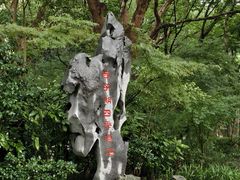 -杭州西子湖四季酒店-WL BISTRO西湖餐厅(灵隐路店)