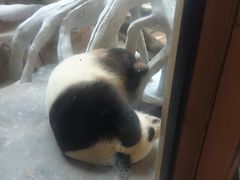 -宁波野生动物园